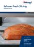 Salmon Fresh Slicing. Horizontal slicing. High quality slicing. Automatic in-feed and out-feed. Minimum waste. User-friendly operation