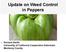 Update on Weed Control in Peppers. Richard Smith University of California Cooperative Extension Monterey County