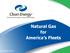 Natural Gas for America s Fleets. cleanenergyfuels.com 1