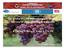 The productive efficiency of organic farming The case of grape growing in Catalonia B. Guesmi, T. Serra, Z. Kallas & J.M. Gil
