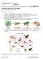 Organisms and their Environment (IGCSE Biology Syllabus )