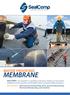 MEMBRANE WATER PROOFING. Our Services: Below ground waterproofing, Above-ground waterproofing, Wet Areas Waterproofing, Joint Sealants.