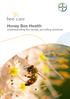 Honey Bee Health Understanding the issues, providing solutions