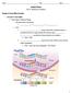 Guided Notes Unit 5: Molecular Genetics