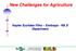 New Challenges for Agriculture. Kepler Euclides Filho Embrapa - R& D Department