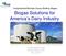 Biogas Solutions for America s Dairy Industry