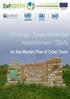 Strategic Environmental Assessment (SEA) for the Master Plan of Orhei Town