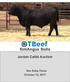 SimAngus Bulls. Jordan Cattle Auction