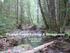 Riparian Forest Ecology & Management. Derek Churchill, Nov 8, 2014