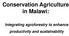 Conservation Agriculture in Malawi: Integrating agroforestry to enhance productivity and sustainability