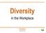 Diversity: human characteristics that make people different from one another