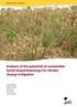Analysis of the potential of sustainable forest-based bioenergy for climate change mitigation