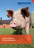 System competence Pig farm management