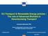 EU Transport & Renewable Energy policies : The role of Advanced Biofuels in Decarbonising Transport