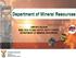 LIMPOPO REGION MINE HEALTH AND SAFETY INSPECTORATE DEPARTMENT OF MINERAL RESOURCES