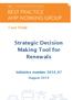 Strategic Decision Making Tool for Renewals