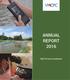 ANNUAL REPORT RECP & Green Production