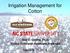 Irrigation Management for Cotton. Guy D. Collins, Ph.D. Cotton Extension Associate Professor