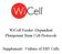 WiCell Feeder Dependent Pluripotent Stem Cell Protocols. Supplement: Culture of Elf1 Cells