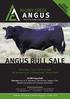 ALUMY CREEK ANGUS. Top of the Range Angus Genetics ANGUS BULL SALE. Saturday 1 June 2013 at 1pm On property at Coldawinda Tenterfield