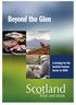 Beyond the Glen. A strategy for the Scottish Venison Sector to 2030
