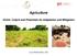 Agriculture. Victim, Culprit and Potentials for Adaptation and Mitigation. Luis Waldmüller, GIZ