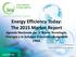 Energy Efficiency Today: The 2015 Market Report