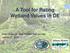 A Tool for Rating Wetland Values in DE. Alison Rogerson, Andy Howard, Matt Jennette January 27, 2015