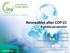 Renewables after COP-21 A global perspective. Dr. Fatih Birol Executive Director International Energy Agency