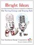 Bright Ideas. An activity book from your Electric Cooperatives of Oklahoma. For Saving Energy and Staying Safe