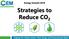 Strategies to Reduce CO 2