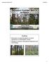 Silviculture Overview: Back to the Basics. Outline