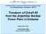 Transport of Cobalt 60 from the Argentine Nuclear Power Plant in Embalse