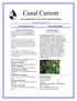 Canal Current. Environmental News. Native Plant profile. A wave of information for Cape Coral s Canalwatch volunteers. Newsletter: 3rd Quarter 2014