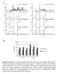 Supplementary Figure 1. Immunoprecipitation of synthetic SUMOm-remnant peptides using UMO monoclonal antibody. (a) LC-MS analyses of tryptic