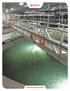 Water Solutions for the AQUACULTURE Industry