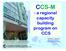 CCS-M - a regional capacity building program on CCS. Coordinating Committee for Geoscience Programmes in East and Southeast Asia (CCOP)