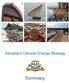 Zanzibar s Climate Change Strategy. Summary