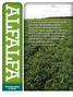 Alfalfa. Roundup Ready Alfalfa. Channel 2014 Seed Guide 47