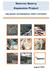 Contents. Sancrox Quarry Expansion Preliminary Environmental Assessment 2015