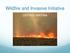Wildfire and Invasive Initiative USFWS/ WAFWA
