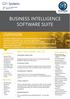 BUSINESS INTELLIGENCE SOFTWARE SUITE