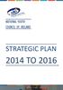 NATIONAL YOUTH COUNCIL OF IRELAND STRATEGIC PLAN