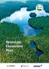 Progress Report Restorasi Ekosistem Riau