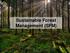 Sustainable Forest Management (SFM)