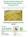 Rate determination of Nitrogen and Phosphorous Fertilizer for Better Production of Teff