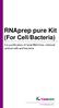RNAprep pure Kit (For Cell/Bacteria)