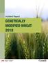 Incident Report GENETICALLY MODIFIED WHEAT 2018