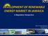 DEVELOPMENT OF RENEWABLE ENERGY MARKET IN JAMAICA