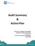 Audit Summary & Action Plan